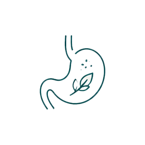 Digestion & Liver
