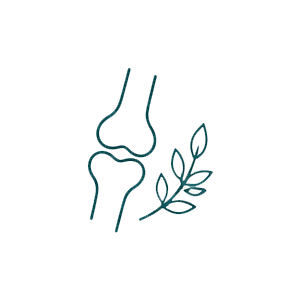 Bones & Joints